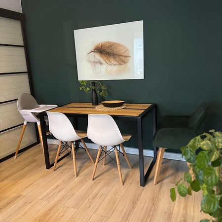 Green Loft Apartament ビャワ・ボドラスカ エクステリア 写真