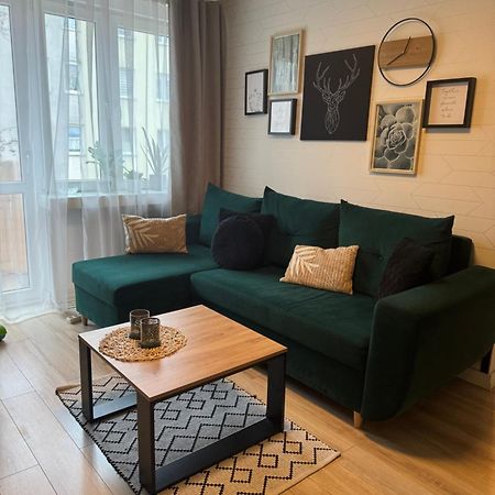 Green Loft Apartament ビャワ・ボドラスカ エクステリア 写真
