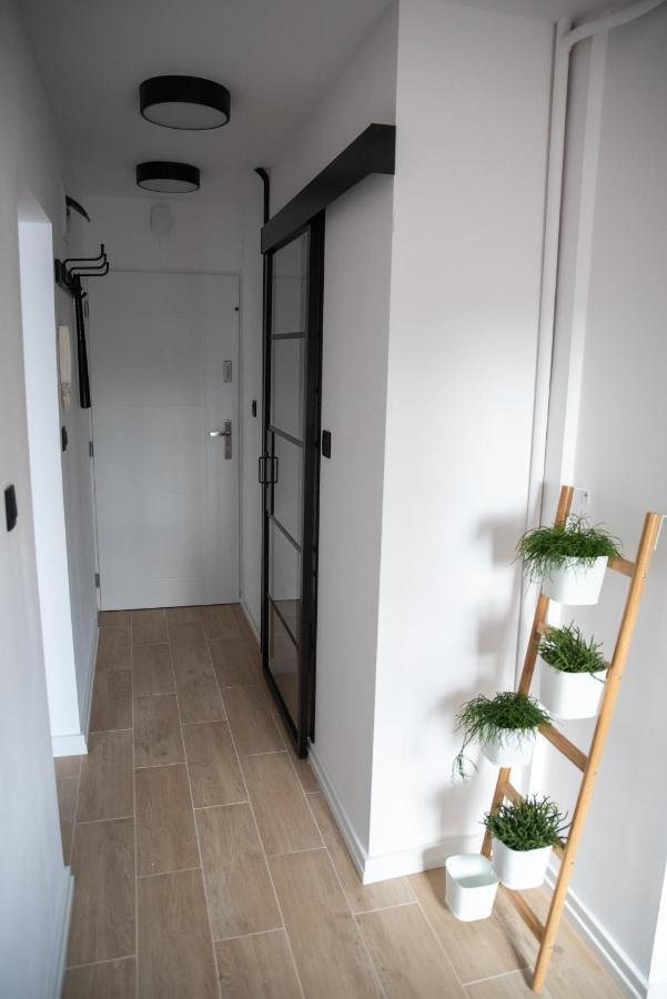 Green Loft Apartament ビャワ・ボドラスカ エクステリア 写真
