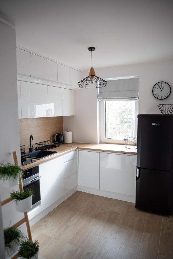 Green Loft Apartament ビャワ・ボドラスカ エクステリア 写真