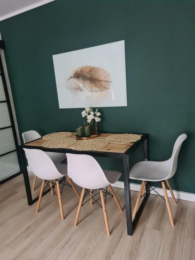 Green Loft Apartament ビャワ・ボドラスカ エクステリア 写真